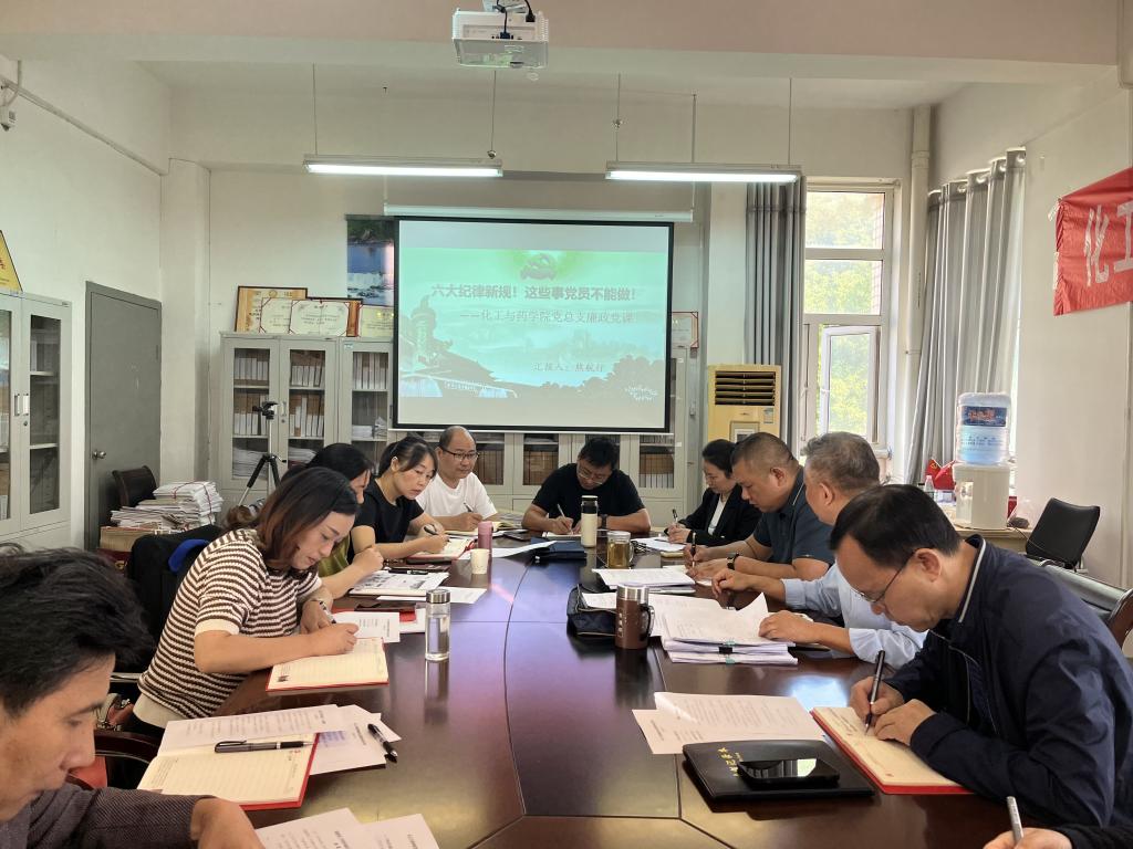 化工与药学院党总支书记上廉政党课